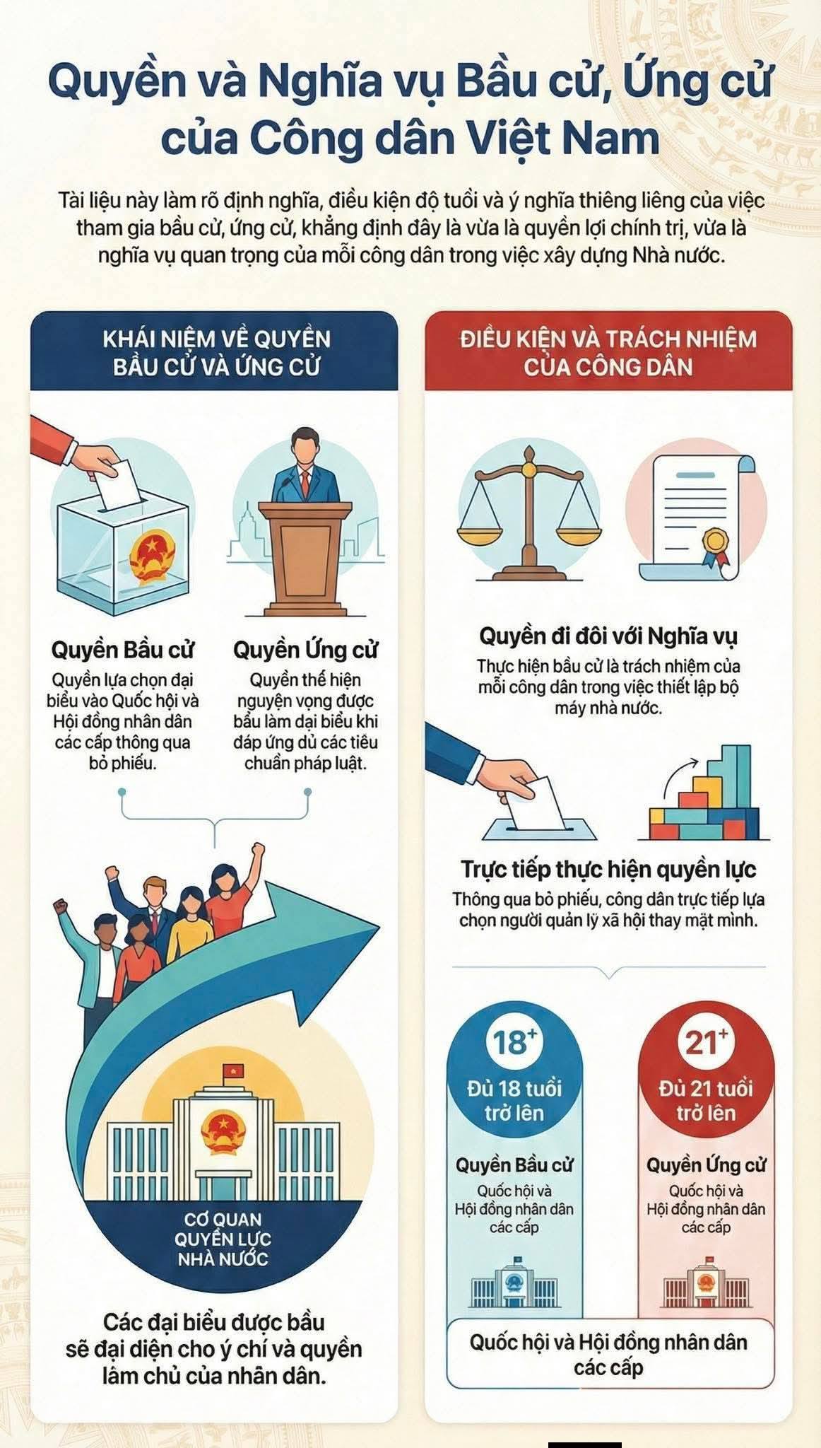 642710559 1260855479506828 2105554763639880566 n